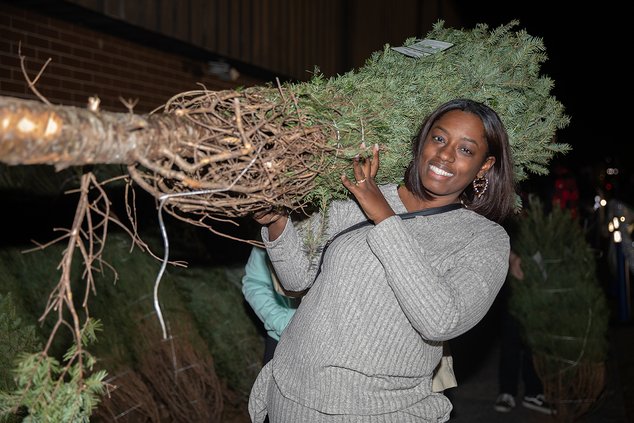 FTS tree lighting 3.jpg