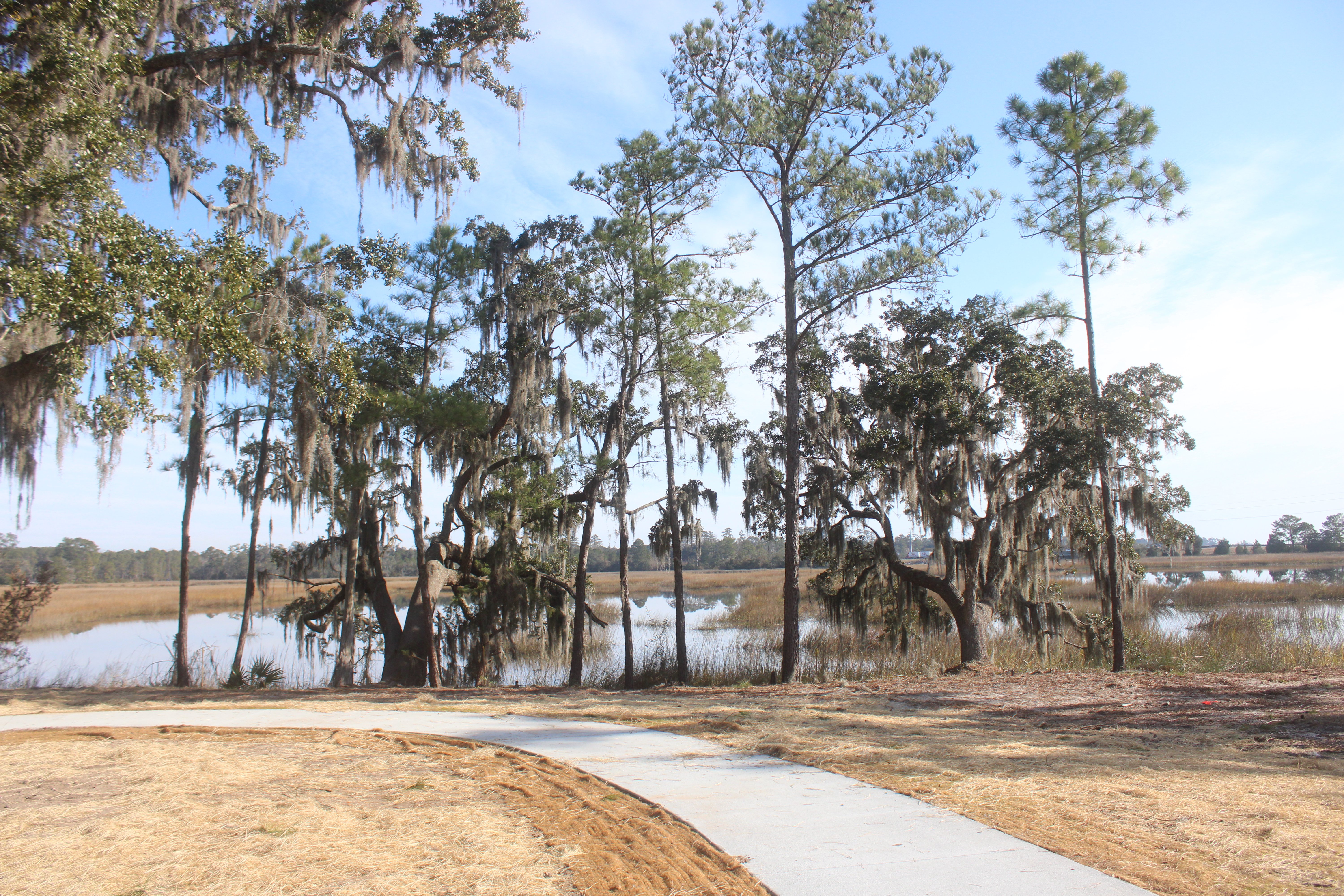Georgia Power check to help Susie King Taylor Freedom Park come to life soon