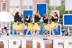 Annual Small World Festival takes Hinesville on trip around the world