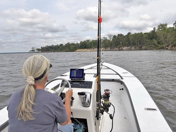 LCDA proposes new wastewater treatment plant with discharge into local waterways