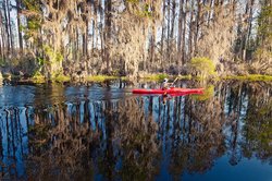 Okefenokee earns World Heritage Site status