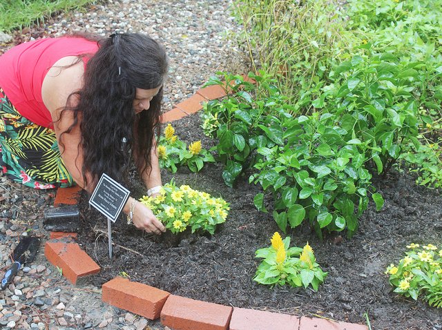 Garden Club honors ‘the yellow bow lady’